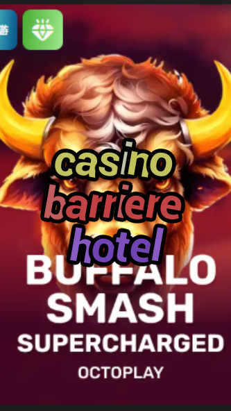 casino barriere hotel-w4cy2mdjlx2bf.com